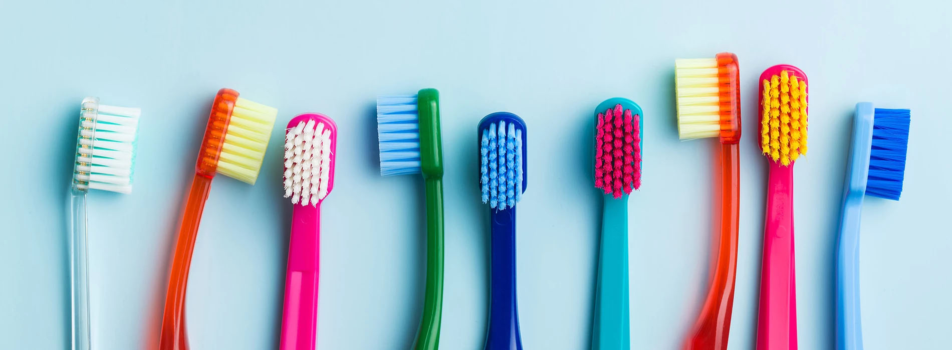 The image displays a collection of colorful toothbrushes with bristles, arranged in a row against a light background.