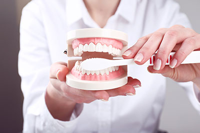 The image shows a person holding an open tooth model, with a focus on dental care or oral health education.